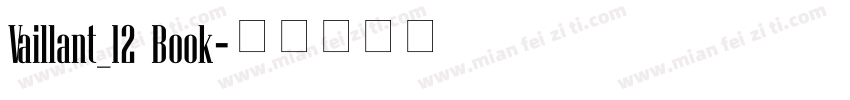 Vaillant_12 Book字体转换